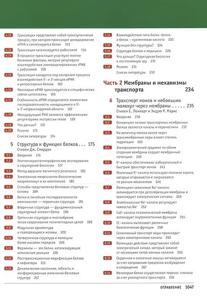 Клетки по Льюину - фото 9