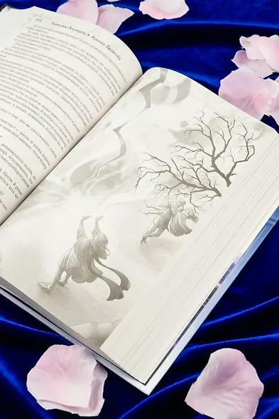 Академия магического права - фото 13