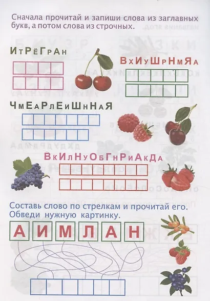 Юный эрудит. Ягодная логика: для детей от 5 лет - фото 5