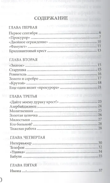 Василисса. Записки церковной продавщицы - фото 2