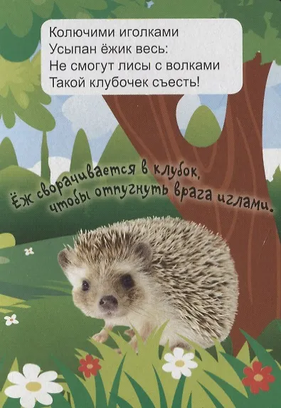 ЦК МИНИ. ЛЕСНЫЕ ЖИВОТНЫЕ - фото 3