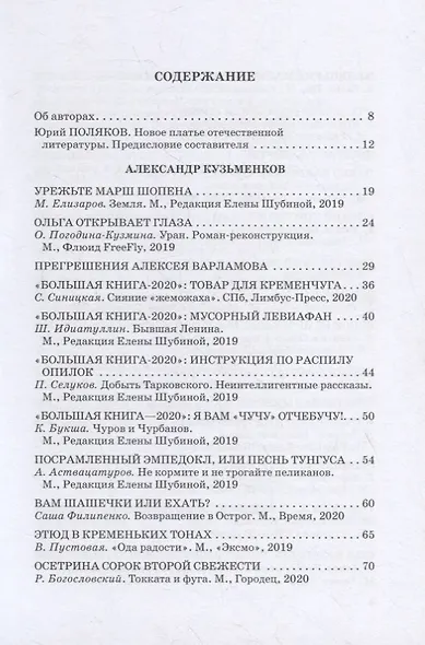 Проклятые критики. Новый взгляд на современную отечественную словесность. В помощь преподавателю литературы - фото 2