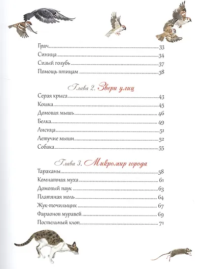 Животный мир городов - фото 3