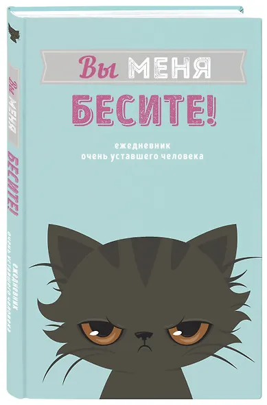 Ежедневник «Вы меня бесите!» недатированный, А5, 80 листов - фото 2