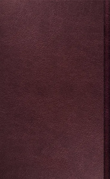 Заброшенный вагон - фото 2