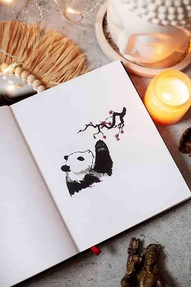 Большая Панда и Маленький Дракон: медитативная история - фото 8