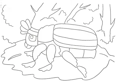 Книжка-раскраска "Жуки" - фото 2