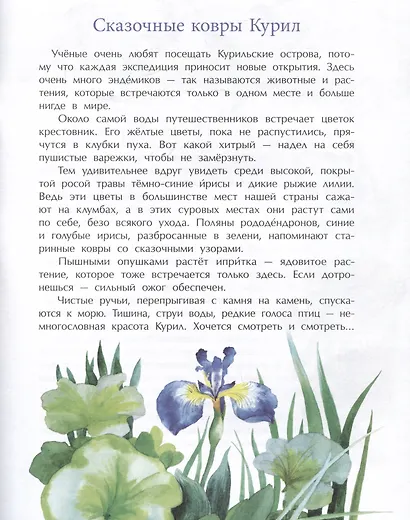 Курилы. Самый край Российской земли - фото 5