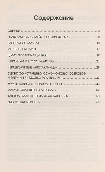 Аквар.Сцинки - фото 2