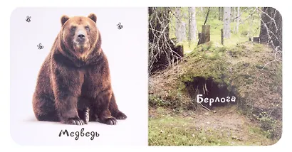 Шоубокс "Мир в картинках" Комплект из 6 книг - фото 4