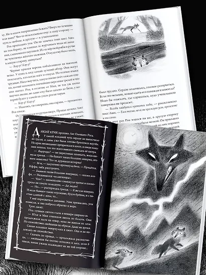 Страшные истории для маленьких лисят - фото 6