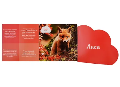 Кто прячется в лесу? - фото 4