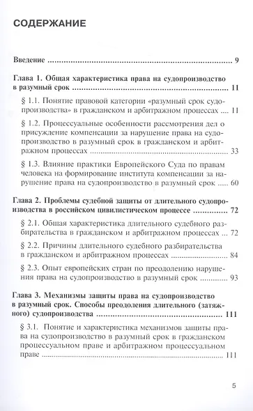 Механизмы судебной и внесудебной защиты права на судопроизводство в разумный срок - фото 2