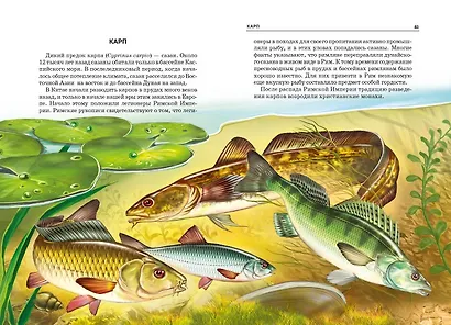 Жизнь в пресной воде. - фото 5