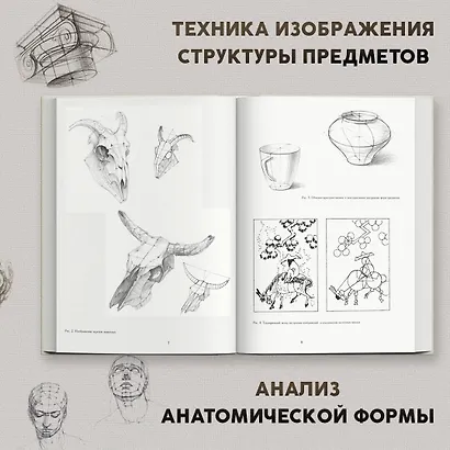 Основы учебного академического рисунка - фото 4