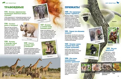 Мир животных: От актинии до ягуара - фото 6