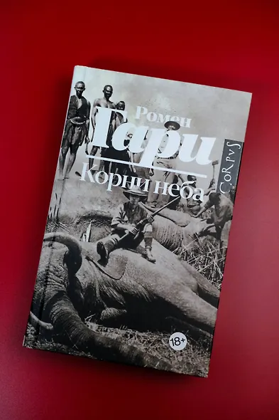 Корни неба - фото 5