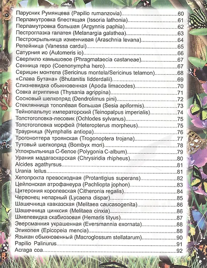 Бабочки. Энциклопедия - фото 4