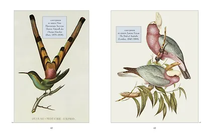 Анималистика. Образы & фантазии - фото 7