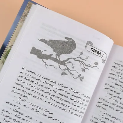 Реннвинд. Сердце тьмы - фото 11