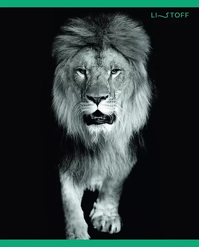 Тетрадь в клетку Listoff, "В мире дикой природы", 96 листов - фото 3