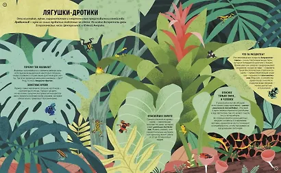 Ядовитые животные. Кто, зачем и как использует яды в дикой природе - фото 5