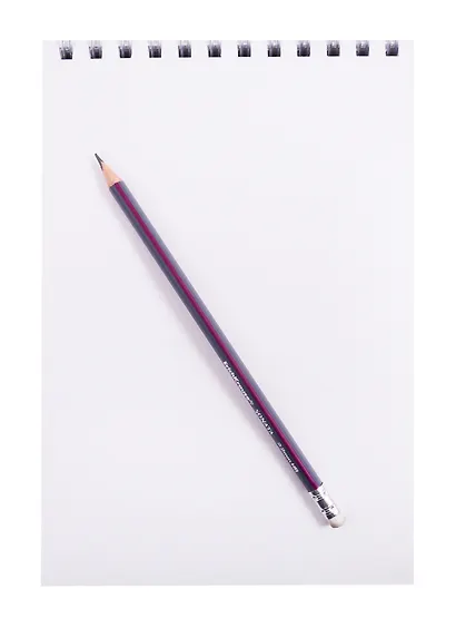 Скетчбук А5+ 80л "SKETCHBOOK. Panda book" белый офсет, 120г/м2, 7БЦ - фото 3