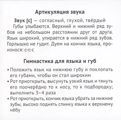 Касса звуков свистящие и шипящие. 33 карточки с заданием на обороте - фото 3