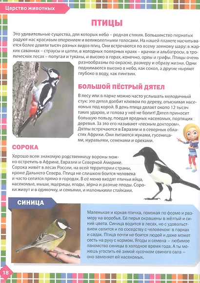 Большая книга обо всём на свете. Детская энциклопедия для девочек - фото 5