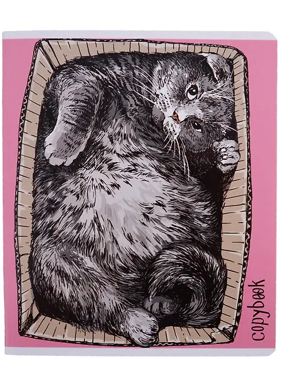 Тетрадь в клетку Феникс+, "Жизнь котов", 48 листов, в ассортименте - фото 3