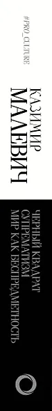 Черный квадрат. Супрематизм. Мир как беспредметность - фото 5