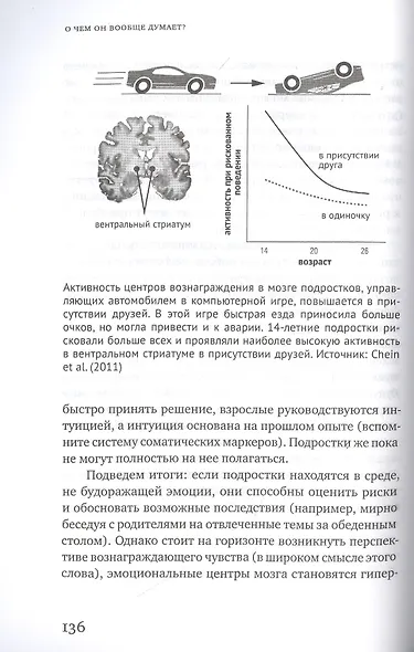 О чем он вообще думает? Мозг подростка: время уникальных возможностей - фото 3