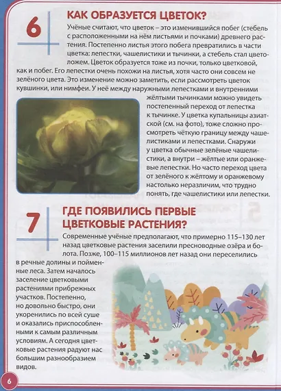 Цветы. Почемучкам и любознашкам - фото 5