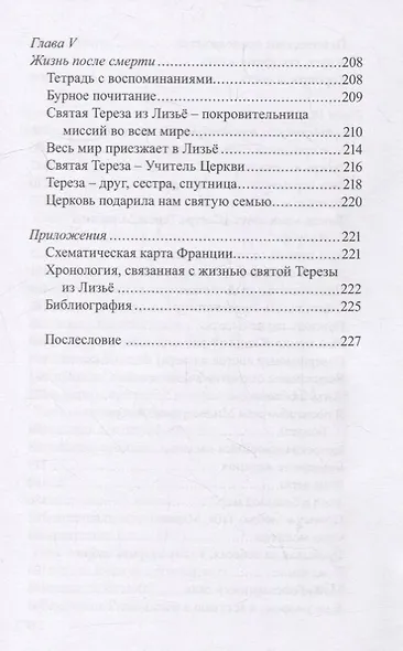 История великой любви. Святая Тереза из Лизье (1873-1897) - фото 4