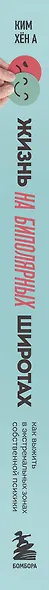Жизнь на биполярных широтах. Как выжить в экстремальных зонах собственной психики - фото 5