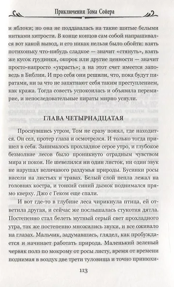 Приключения Тома Сойера - фото 8