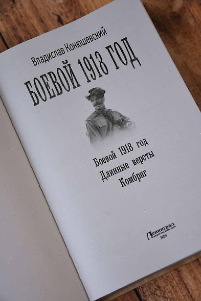 Боевой 1918 год - фото 8