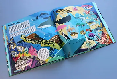 Удивительный атлас морских обитателей. Виртуальная реальность - фото 6