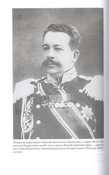 Воспоминания военного министра - фото 5