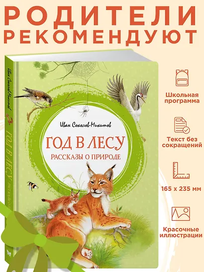 Год в лесу. Рассказы о природе - фото 3