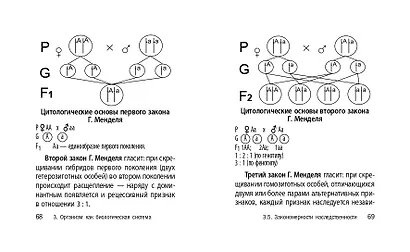 Биология - фото 8