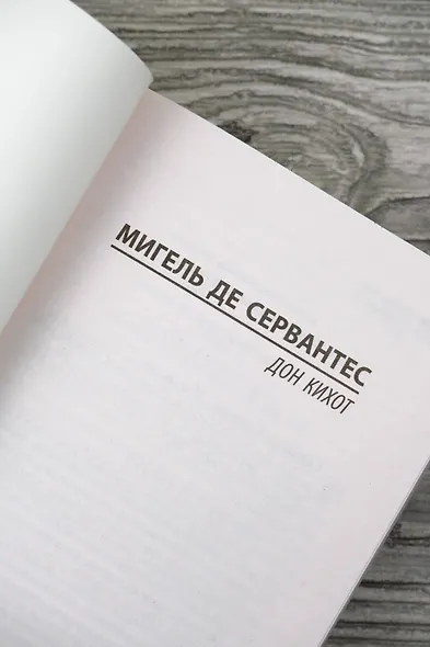 Дон Кихот - фото 7