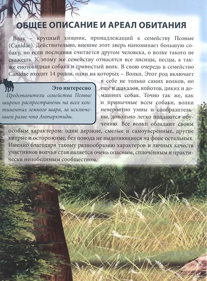 Волки - фото 2