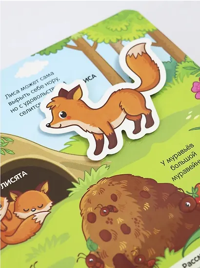 Липучки. Зверята в лесу - фото 5