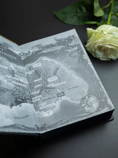 Железное пламя - фото 10