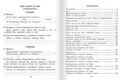 Текущий и тематический экспресс-контроль по русскому языку: рабочая тетрадь для 2 класса общеобразовательных организаций - фото 2