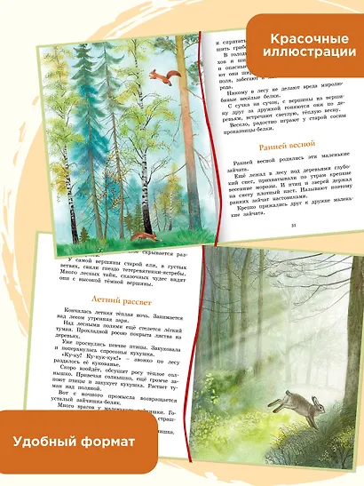 Год в лесу. Рассказы о природе - фото 4