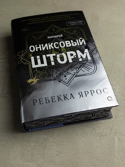 Ониксовый шторм (спец.издание, обрез с узором) - фото 12