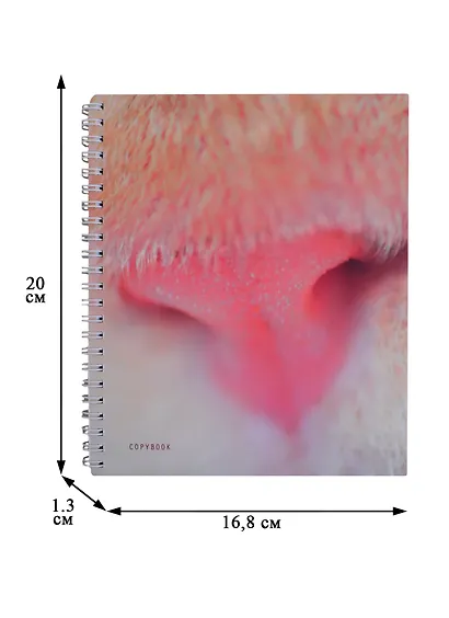 Тетради «Мягкие и пушистые», А5, 96 листов - фото 3