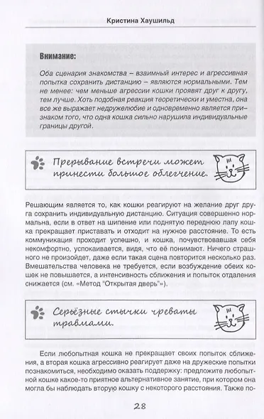 Дружная семья. Как подружить кошек с любовью и пониманием? - фото 5